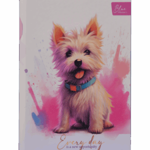 Cuaderno Cosido Elite Everyday is a new opportunity